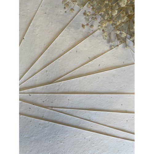 25 x A5 Plantable Seed Paper/Card - Print at Home Craft Paper with Wildflower Seed Mix