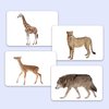 My First Wild Animals Flash Cards for Toddlers, 24 Cards, 48 Sides, Montessori, Educational, Kindergarten, Preschool Learning Activities, Gifts for Kids, 1-4 Years babies, Fun & Educational Flashcards