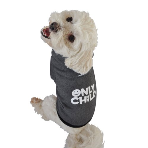 Ruff Ruff and Meow Dog Hoodie, Only Child, Black, Extra-Small