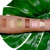 Palladio Liquid Eyeshadow, creamy shimmery formula that instantly adheres to the eyelid with flexible applicator wand for over 8 hours of smudge and crease-proof wear (Tiger Eye)