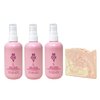 Bath & Body Works Moxy Dry Skin 3 Pack Face Cleansing Gel with a Himalayan Salts Springs Sample Soap - Full Size