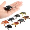 Bememo 16 Pcs Plastic Turtles Party Decorations Small Sea Turtles Toys Mini Realistic Plastic Ocean Animals Figures Bath Fake Tortoises Educational Toy for Birthday Party Gifts