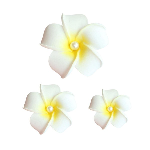 Koolgil Women's Fashion Hawaiian Foam Plumeria Flower Clips Plumeria Flower Bowknot Hair Clip for Bridal Wedding Luau Beach Tropical Vacation Party Hair Decorations (3 Sizes White Pearl)