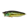 Megabass PopMax Topwater Fishing Lure - Pumpkinseed