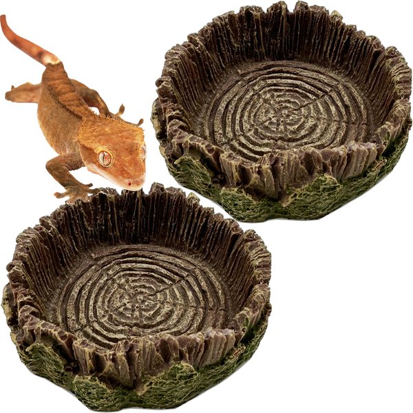 Small Reptile Food Bowl Water Dish, 2 PCS Reptile Feeding Food Bowls for Bearded Dragon Leopard Gecko Lizard Frog Hermit Crab