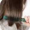 RN BEAUTY Styling Brush Detangling Brushes Anti-Static Detangler Hairbrush Blow Drying Comb Elastic Nylon Bristle Pins Fashion Massage Brushes for Men and Women Adults and Kids Wet or Dry All Hair