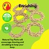 Bonka Bird Toys 3331 Pk6 Medium Vine Wreaths Foot Talon Craft Part Bird Toy Natural Ring Woven Twist Cockatiels Parakeets Conures and Other Similar Birds