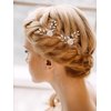 AW BRIDAL 2 Pcs White Flower Hair Clips Bridal Hair Combs for Women Rhinestone Wedding Hair Pins for Brides Bridesmaids Girl Hair Accessories(Silver)