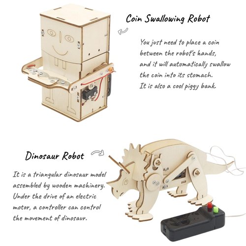 DEUXPER 5 Sets of Robot STEM Toys for Kids, Wood Craft Kit for Boys Age 8-12, DIY Science Building Projects for 6-8, 3D Puzzles Assembly Models, Gift for Children Age 6 7 8 9 10 11 12 14