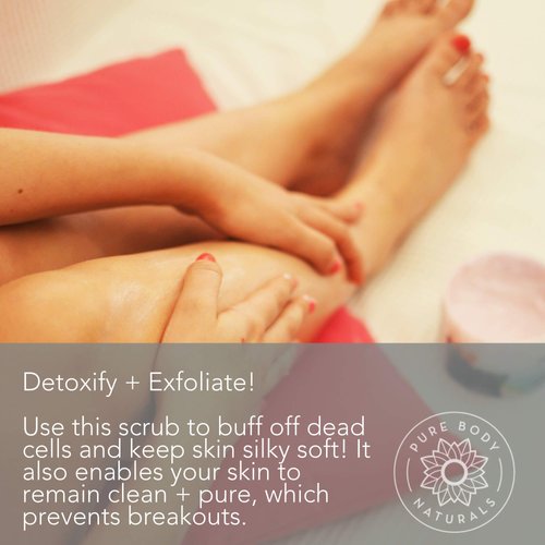 Pure Body Naturals Himalayan Salt Scrub, 12 ounces | Natural Face, Body, Hand, Foot and Skin Exfoliator | Facial Exfoliating Pink Salt with Sweet Almond Oil, Jojoba Oil, Vitamin E, and Aloe Vera