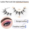 Manga Lashes Natural Look Anime False Eyelashes Individual Wispy Korean Makeup Eye Lashes Clusters 10 Pairs Asian Chinese Japanese Fake Eyelashes Pack by Geeneiya