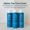Oars + Alps Men's Moisturizing Body and Face Wash, Skin Care Infused with Vitamin E and Antioxidants, Sulfate Free, Alpine Tea Tree, 1 Pack
