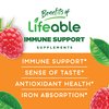 Lifeable Immune Support for Kids Gummies - with Elderberry, Vitamin C and Zinc - Great Tasting Natural Flavor Gummy Supplement - Gluten Free Vegetarian GMO-Free Chewable Vitamins - 90 Gummies