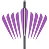 Letszhu Arrows Vanes 4 Inch Plastic Feather Fletching for DIY Archery Arrows 50 Pack (Purple)