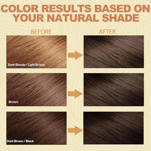 Herbal Instant 3-in-1 Long-Lasting Brown Hair Color Shampoo for Gray Hair Cover for Women & Men - 16.90 Fl OZ (Dark Brown)