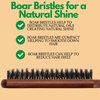 GranNaturals Teasing Boar Bristle Hair Brush for Women - Slick Back Comb with Rat Tail Pick for Hair Sectioning Used for Edge Control, Backcombing, Smoothing, and Styling Fine Hair to Create Volume