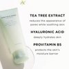 THE FACE SHOP Tea Tree Pore Clarifying Gel Cleanser | Gentle Facial Foam Cleanser for Acne-Prone Skin | Removes Excessive Sebum with Soothing Effect | 5.0 fl. Oz,K-Beauty