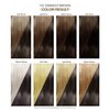 Adore Semi Permanent Hair Color - Vegan and Cruelty-Free Brown Hair Dye - 4 Fl Oz - 110 Darkest Brown (Pack of 2)