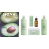 Noah Yal Hydrating Shampoo with Hyaluronic Acid & Clary Sage - Organic, Sulfate-Free, Vegan, Volumizing & Anti-Frizz, 8.5 fl.oz