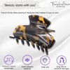 French Amie Chic Tokyo Handmade Medium 2.25 Inch Celluloid Jaw Hair Claw Clip