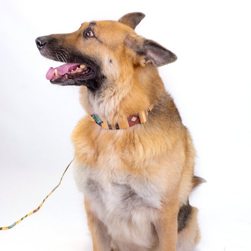 Country Brook Design® 5/8 Inch Native Arizona Dog Leash - 6 Foot