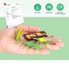 Volnau Animal Figurines Toys 16PCS Life Cycle Set Plant Locust Butterfly Caterpillars Bee Animal Figures for Toddlers Kids Decorations Preschool Educational Prop