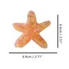 Starfish Claw Clip,Acetate Hair Clips,Small Claw Clips for Women