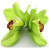 Double Lime Green Orchids Silk Flower Hair Clip with Teeth