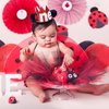 Cheerupp 1st Ladybug Birthday Hat for Girls, 1st Birthday Hat Crown for Sweet Little Lady beetle Spring Themed First Birthday Party Decorations Supplies