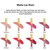 Sistar Sweet Moments Matte Lip Stain Long-Lasting Matte Finish Vivid High Pigment Colors Smooth and Sweet 1.5 mL / 0.05 fl. oz. (Red Bottom)