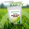 Organic Barley Grass Powder, Antioxidant-Rich, Energy Booster Organic Grass Powder, 100% Natural Superfood, Vegan, Gluten Free, Non-GMO, Kosher, 1 Lb