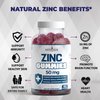 Zinc Gummies - 2 Pack - 50mg High Immune Booster Zinc Supplement, Immune Defense, Powerful Natural Antioxidant, Non-GMO - by New Age (Zinc/Vitamin C)