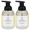 CLEAN MAMA Plant-Derived Foaming Hand Soap - Aromatic and Nourishing Hand Wash, Natural Essential Oils Infused - USDA Certified Biobased - 12 Ounce, Lemon, 2 Pack