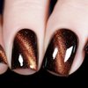 Vishine 9D Cat Eye Brown Gel Nail Polish with Magnet Galaxy Cateye Chameleon Nail Gel Polish Manicure Soak Off UV Gel DIY Salon Home 16ml