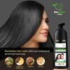 BIOGREEN ROOTS Ammonia-Free Herbal Hair Shampoo - Covers Gray Hair for Men and Women - Natural Color & Nourishment - No Skin Stains - Natural Black (200 ml)