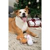 Midlee Santa's Milk and Cookies Plush Dog Toy Gift Box