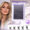 ALICE Lash Clusters Wispy Cluster Eyelash Extensions 168pcs Fluffy Individual Lashes 10-18mm Waterproof Natural Lash Extension DIY Cluster Lashes with Soft Thin Band