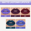 AMY'S DIARY Matte Plum Liquid Lipstick 5Pcs Sets,24-hour Lipstick Deep Purple Red Green Plum blue Lip Stain 24 Smudge Waterproof for Women (Set02)