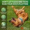 Flea and Tick Prevention for Dogs Chews - Natural Dog Flea and & Tick Control - Advanced Oral Pills Supplement Treatment for All Breeds & Size - Vet Formulated - Soft Chewables - Made in USA