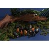 Animals Figures,24 Pcs Realistic Animal Toy Set with Lion,Panda,Monkey,Zebra,Tiger,Elephant,Giraffe etc,Cake Toppers Birthday Gift for Kids