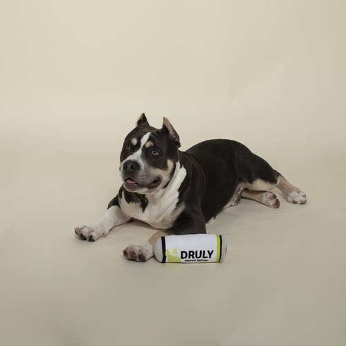 Fringe Studio Plush Dog Toy, DRULY Lickin' Lime (289713)