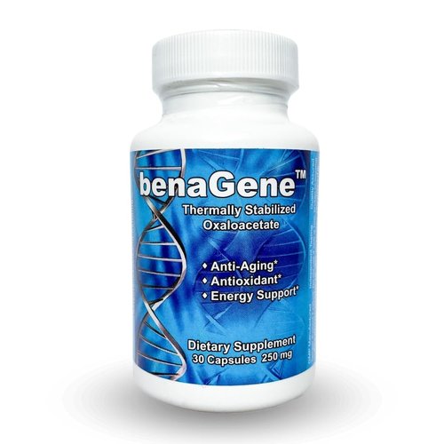 Benagene Oxaloacetate Supplement - Supports Cellular Energy - Thermally Stabilized with Vitamin C - Non-GMO & Vegan - 30 Servings, Once Daily