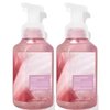Bath and Body Works Gentle & Clean Foaming Hand Soap 8.75 Ounce 2-Pack (Champagne Toast)