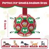 Angecado Interactive Dog Soccer Ball with Straps, Dog Birthday Balls Toy, Durable Christmas Dog Toys for Small & Medium Dogs, Outdoor Dog Toys, Dog Tug of War Toy (6 Inch)