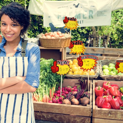 500 Pieces Burst Signs Fluorescent Signs Blank Star Shape Retail Sale Tags Burst Paper Signs for Retail Party Favors (500 Pieces, Regular Shape)