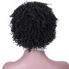 REYNA Short Pixie Cut Afro Kinky Curly Short Jerry Curly No Lace Glueless Brazilian Virgin Human Hair Wigs for Black Women