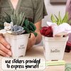 Hapinest DIY Potted Felt Succulents Craft Kit for Adults Women Teens, Arts & Crafts for Kids Fun Activities Project Ideas Hobbies for Women at Home, DIY Crafts for Adults Girls Ages 6-12 Years & Up