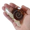 Snail Hair Clips,Cellulose Acetate Hair Clips,Big Claw Clips for Girl,Hair Accessories