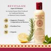 Moroccan Elixir Revitalize Argan Oil Shampoo, Paraben and Sulfate Free Shampoo Repairs Dry, Damaged, Color-treated Hair, Tames Frizz and Promotes Growth For Strong, Shiny Hair (8.5oz)