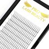 Premade Fans Eyelash Extensions 3D-D-0.10-12 Long Stem Premade Fans Premade Volume Eyelash Extensions C D Curl Volume Lash Extensions .07 .10 (3D-D-0.10,12 mm)